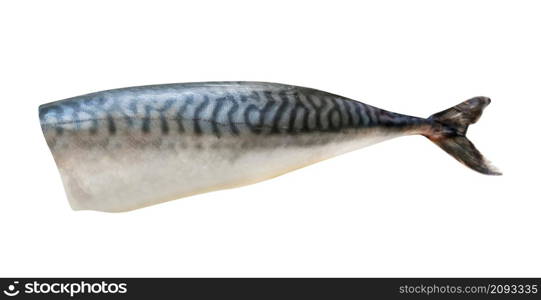 gutted headless atlantic mackerel