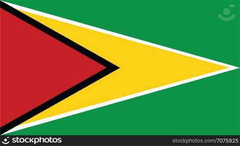 guyana Flag for Independence Day and infographic Vector illustration.