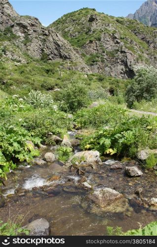 Gveleti High Valley, beautiful landscape along the Georgian Military Road, Caucasus Mountains, Georgia, Europe