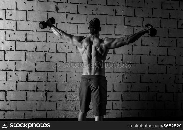 gym man rising hex dumbbells weightlifting rear view