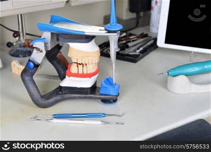 gypsum model of jaw and basic dentist tools