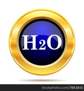 H2O icon. Internet button on white background.