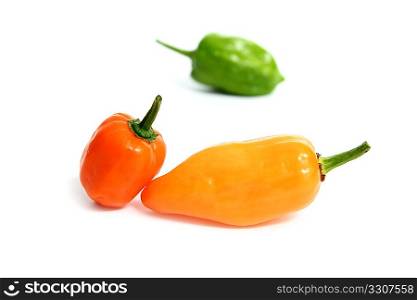 Habanero Capsicum chili hottest pepper in the world from Mexico