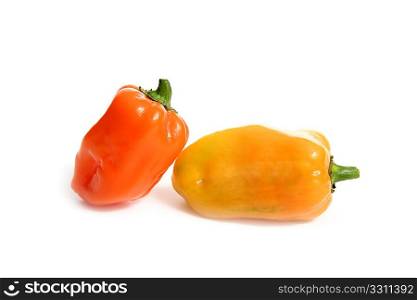 Habanero Capsicum chili hottest pepper in the world from Mexico