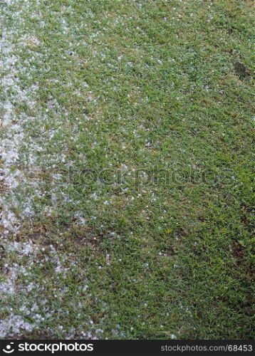 hail in stormy weather. hail large amount of grains of ice following a storm