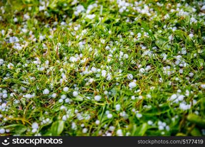 Hail on the grass
