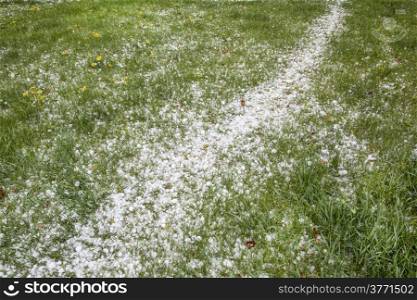 hailstones covering backyard lawn after springtime hail storm