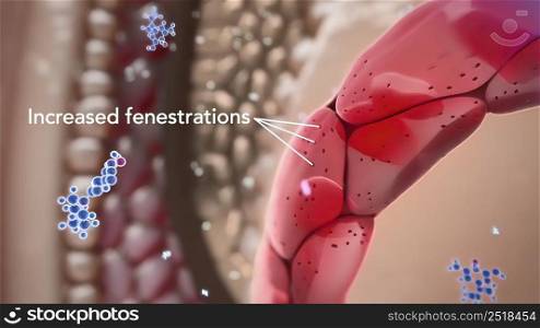 Hair follicles are small, pocket-like holes in our skin. As the name suggests, they grow hair. 3D illustration. Hair follicles are small, pocket-like holes in our skin.