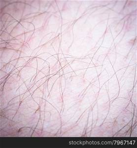 hair on a man&rsquo;s leg. Macro image of fuzz in a man&rsquo;s leg