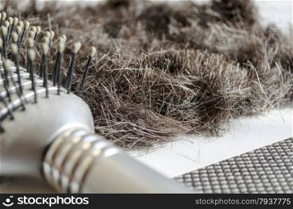 hairbrush with hair background concept hair loss and healthy Hair