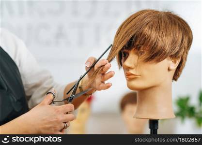 Haircutting Education - Hairstylist explaining haircutting techniques to students. Haircutting Education - Hairstylist Explaining Haircutting Techniques
