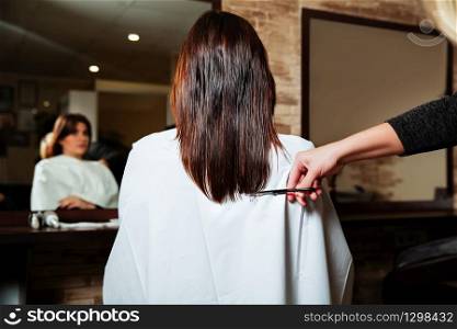 Hairdresser cut long ends to yuong woman. Hairdressing salon.. Hairdresser cut long ends to yuong woman.