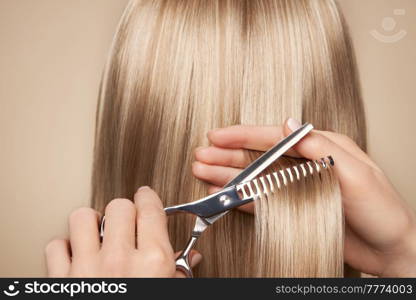 Hairdresser cuts long blonde hair with scissors. Hair salon, hairstylist. Care and beauty hair products. Dyed hair