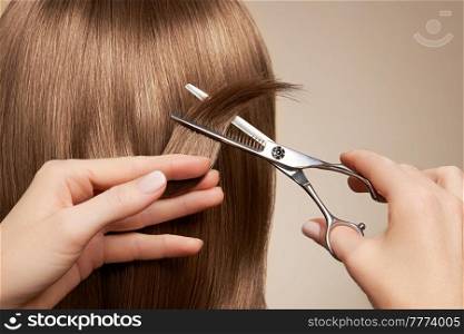 Hairdresser cuts long blonde hair with scissors. Hair salon, hairstylist. Care and beauty hair products. Dyed hair