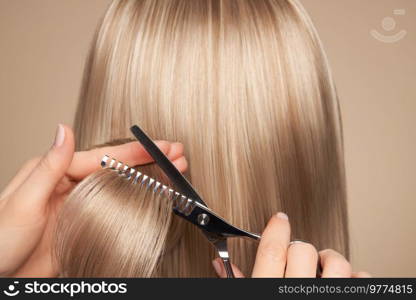 Hairdresser cuts long blonde hair with scissors. Hair salon, hairstylist. Care and beauty hair products. Dyed hair