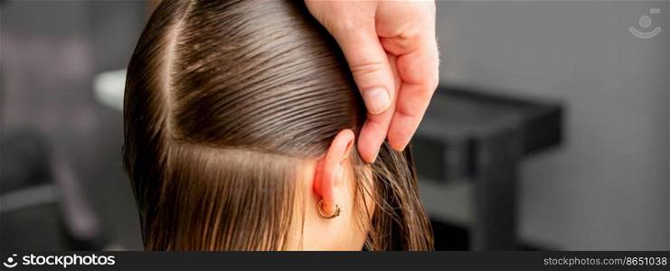 Hairdresser divides female hair into sections with comb holding hair with her hands in hair salon close up. Hairdresser divides female hair into sections with comb holding hair with her hands in hair salon close up.