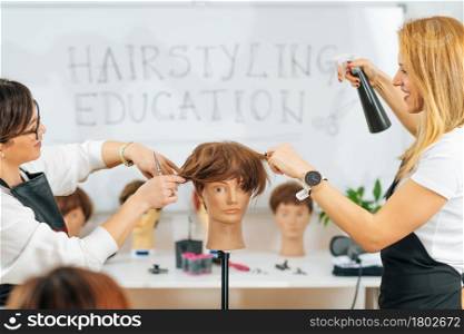 Hairdresser Education - Hairstyling Beginner Course . Hairdresser Education - Hairstyling Beginner Course