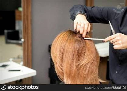 Hairdresser prepares long hair of a young woman to procedures in a beauty salon. Hairdresser prepares long hair of a young woman to procedures in a beauty salon.