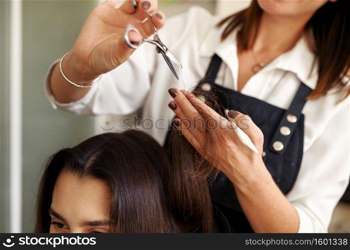 Hairdresser with scissors cuts woman&rsquo;s hair, hairdressing salon. Stylist and client in hairsalon. Beauty business, professional service. Hairdresser with scissors cuts woman&rsquo;s hair