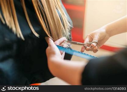 Hairdresser with scissors in hand cuts female hair, hairdressing salon. Hairstyle making in beauty studio