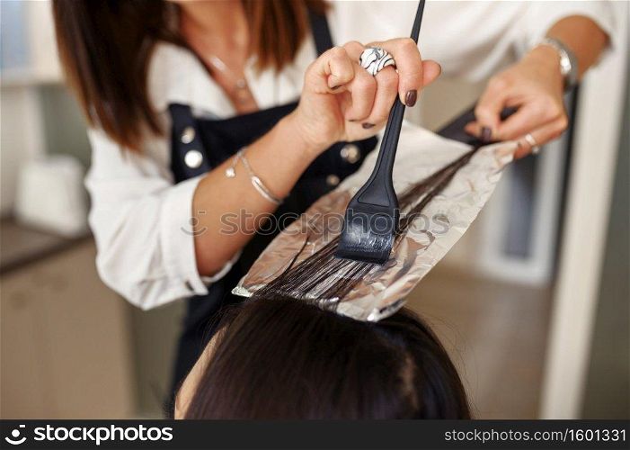 Hairdresser works with female customer hair closeup, hairdressing salon. Stylist and client in hairsalon. Beauty business, professional service. Hairdresser works with customer hair closeup