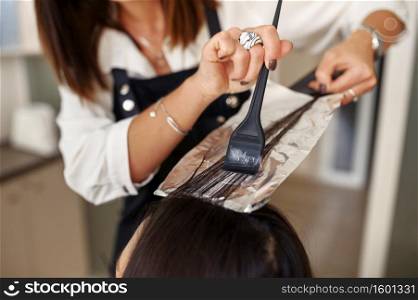 Hairdresser works with female customer hair closeup, hairdressing salon. Stylist and client in hairsalon. Beauty business, professional service. Hairdresser works with customer hair closeup
