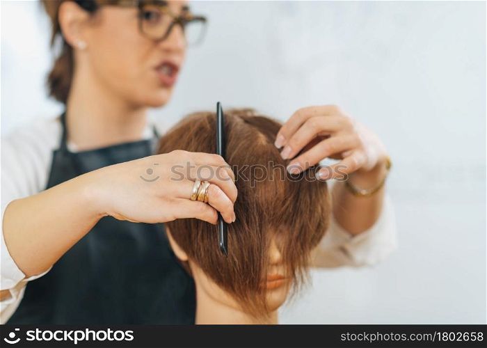 Hairstyling Starting Course Using Mannequin Doll