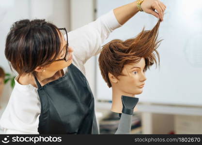 Hairstylist with the hair dryer in hands explaining hairstyling techniques using mannequin head. Hairstylist with the Hair Dryer in Hands Explaining Hairstyling Techniques, Using Mannequin Head