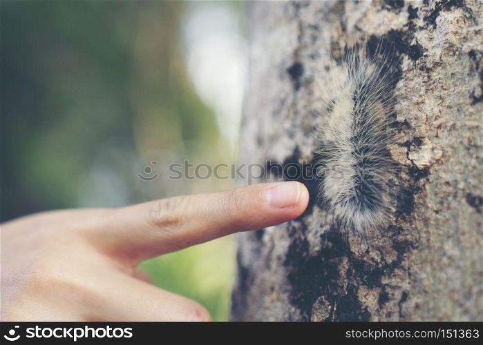 hairy caterpillar on her finger. Caterpillar crawling on human hand. Caterpillar crawling on human hand