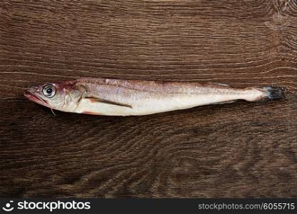 Hake fish on side view over brown wooden background