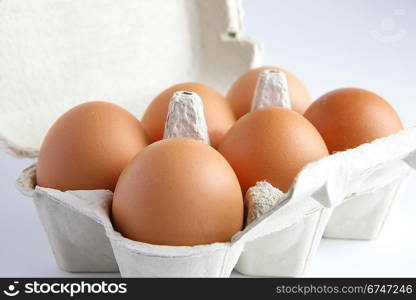 Half a dozen eggs