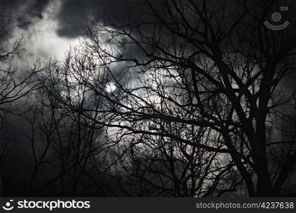 Halloween abstract scenery. Full moon behind forest silhouette.