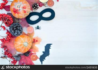 Halloween and Autumn Theme,  background with pumpkins, mountain ash  spiders and bat with copy space. Top view, flat lay