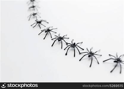 halloween and decoration concept - black toy spiders chain over white background. black toy spiders chain over white background