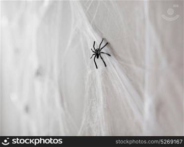 halloween and decoration concept - black toy spiders on artificial cobweb. halloween decoration of black toy spiders on web