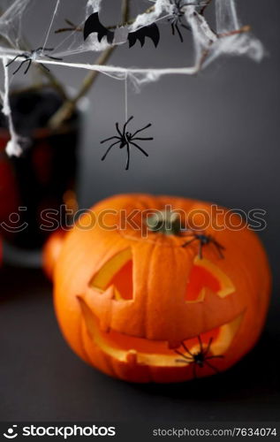 halloween and holiday decorations concept - jack-o-lantern or carved pumpkin and spiders on spiderweb. pumpkins, candles and halloween decorations