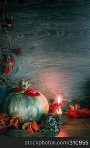 Halloween background - green pumpkin with red leaves of wild grapes, skull and red burning candle on a dark wooden background. Space for copy. Toned, selective focus.. Halloween Background With Pumpkin