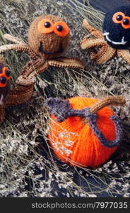 Halloween background with handmade pumpkin, funny spider, with knitted decoration for holiday seasonal, scary festival on october, orange is symbol color, so amazing with starfish, woolen spider