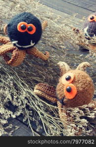 Halloween background with handmade pumpkin, funny spider, with knitted decoration for holiday seasonal, scary festival on october, orange is symbol color, so amazing with starfish, woolen spider