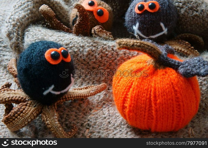 Halloween background with handmade pumpkin, funny spider, with knitted decoration for holiday seasonal, scary festival on october, orange is symbol color, so amazing with starfish, woolen spider