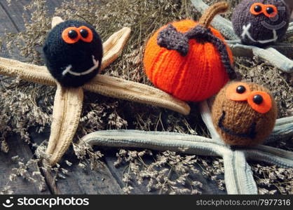 Halloween background with handmade pumpkin, funny spider, with knitted decoration for holiday seasonal, scary festival on october, orange is symbol color, so amazing with starfish, woolen spider