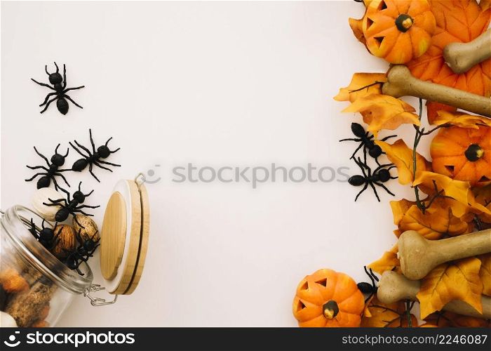 halloween concept with ants