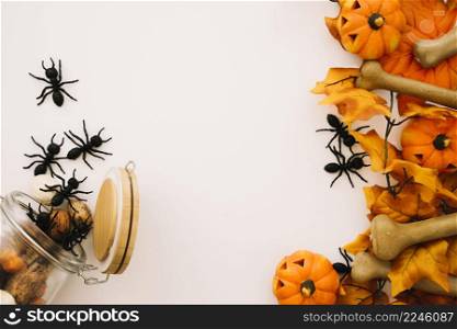 halloween concept with ants