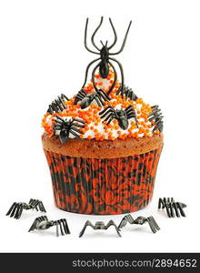 Halloween cupcake with decoration isolated on white