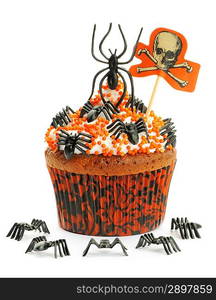 Halloween cupcake with decoration isolated on white