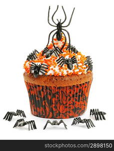 Halloween cupcake with decoration isolated on white