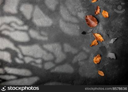 Halloween decoration concept - black paper bats, autumn leaves, moonlight and scary trees shadows background, copy space. Halloween decoration concept - black paper bats, autumn leaves, moonlight and scary trees shadows background