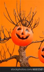 Halloween decoration. Hanging pumpkins on a dry tree