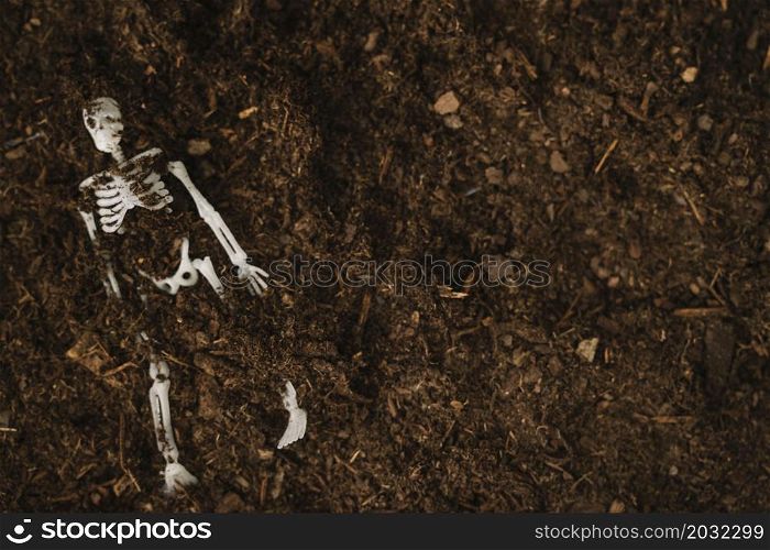 halloween decoration with buried skeleton