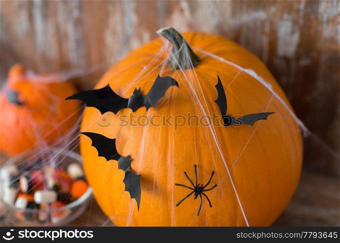 halloween, decorations and holidays concept - pumpkins with bats, spider web and candies. halloween pumpkins with bats and spider web